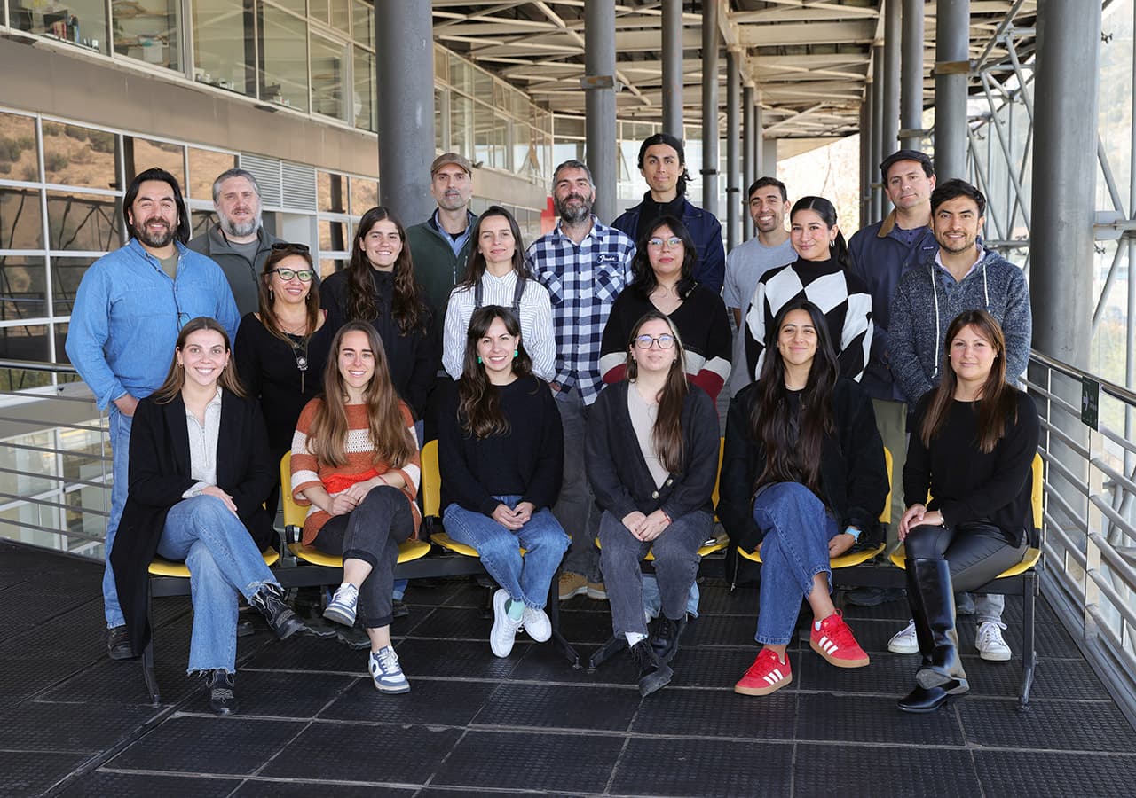 Icemelt equipo trabajo